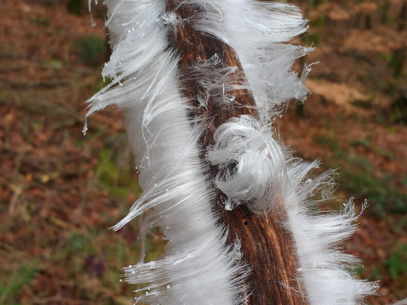 IMG 20190118 104452558